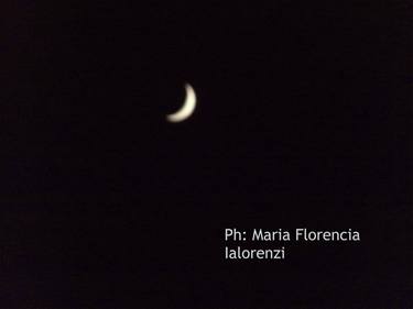 Original Abstract Nature Photography by Maria Florencia Ialorenzi