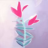 Lily by Joanna Gozdz