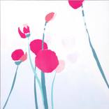 Poppies by Joanna Gozdz