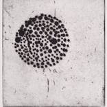 Collection Oversized Works for 2,500 and under