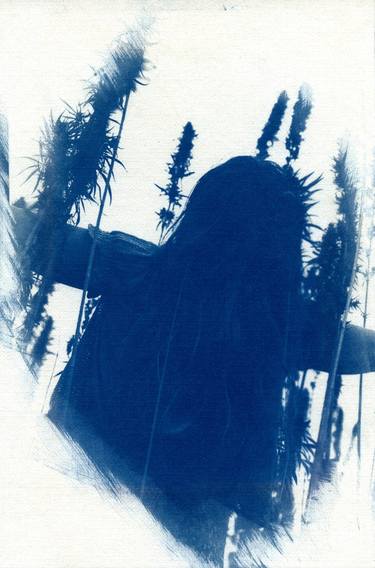 Les Herbes Folles / Series - Limited Edition of 1 thumb