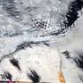 Diptych. Mixed media on canvases. Close up detail of Grand Duke owl head