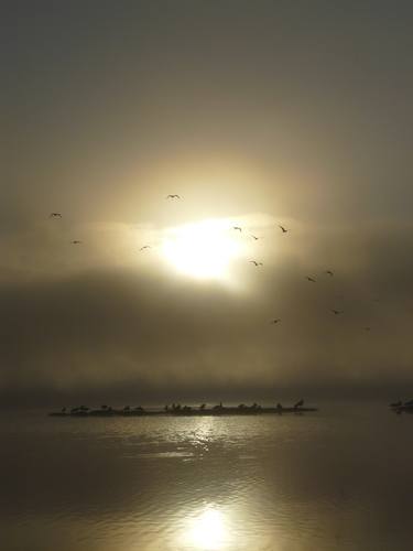 Print of Landscape Photography by Rich McCoy