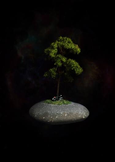 Print of Surrealism Tree Photography by Rich McCoy