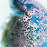 The Daydream Parade by Dries Ketels