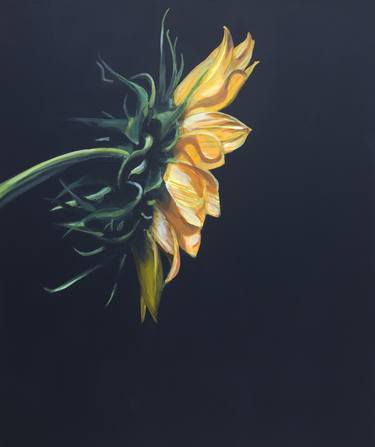 Print of Fine Art Floral Paintings by Jeffrey Bess