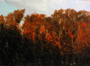 Original Impressionism Nature Paintings by Daniel Córdoba García