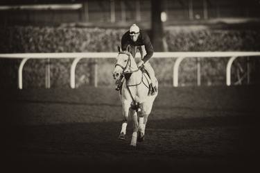 Original Horse Photography by Steve Brooks