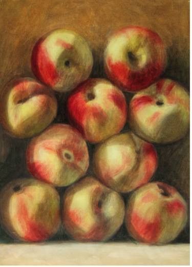 Original Still Life Paintings by David Gould