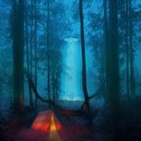 Lightbox - Limited Edition 8 of 10 by Jan Wessel