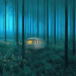 Lightbox - Limited Edition 9 of 10 by Jan Wessel