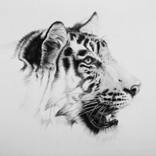 Chupake चुपके (Stealth) - Limited Edition 2 of 50 by Violet Astor