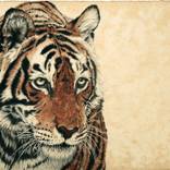 Chai & Paan Tiger: Air - Limited Edition Print by Violet Astor