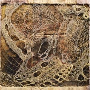 The Wind in our Scales