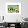 white frame look