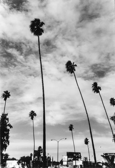Palms in the City - Limited Edition of 2 thumb