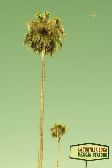 Print of Tree Photography by Rita Minichiello