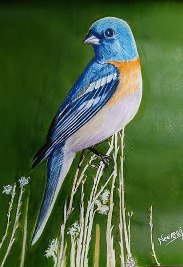 Original Animal Paintings by Neeraj Neeraj