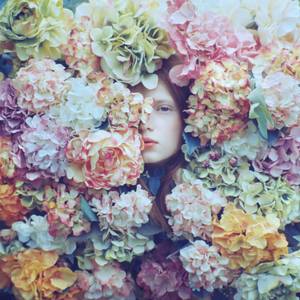 hydrangea - Limited Edition of 10
