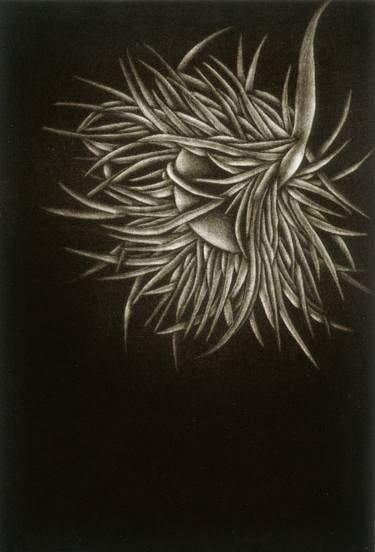 Original Abstract Floral Printmaking by Carol C Sanchez