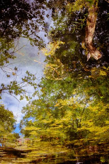 Print of Impressionism Nature Photography by Miao Zhang