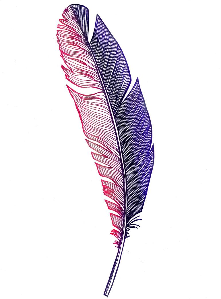 feather sketch