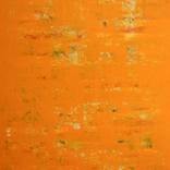 Clementine by Mike Leary