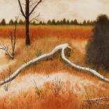 Ozark Winter by Garry McMichael