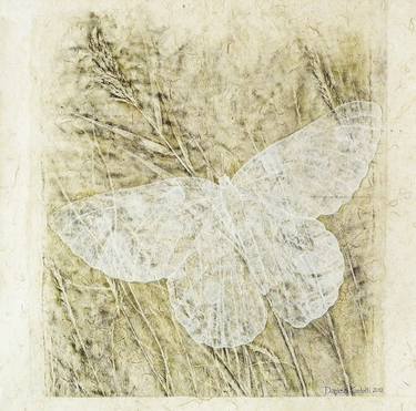 Akiko, the white butterfly thumb