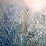 Collection Nature blues