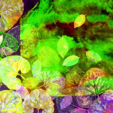 Original Fine Art Nature Digital by Daniela Carletti