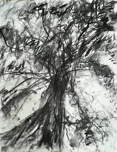 Print of Abstract Expressionism Garden Drawings by Blanxs by Irina Bellaye