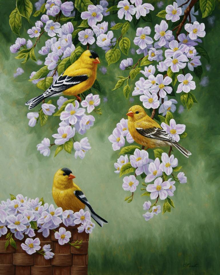 Nature Digital Print Cardinals Blue Bird Golden Finch 