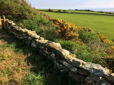 Fractured Gilded Dry Stone Wall thumb