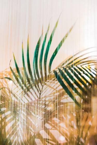 Original Impressionism Botanic Photography by Pedro Correa