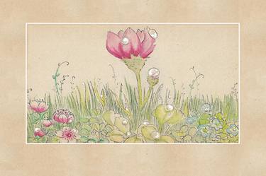 Print of Botanic Drawings by Sabrina Gennari