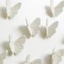 Detail of lace textured white porcelain butterflies.