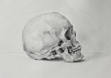 Original Figurative Mortality Drawings by Michele Bajona