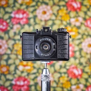 Collection Curator Picks: Photo Prints