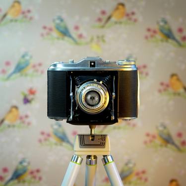 Print of Realism Still Life Photography by Flynn Newton