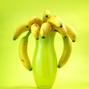 Collection Miami Modern