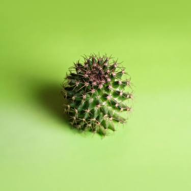 Print of Conceptual Still Life Photography by Flynn Newton