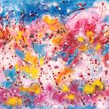 Stars in Colors by Karel Van Camp
