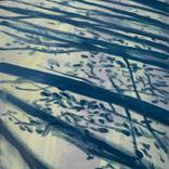 Lane shadows by Sean OHalloran