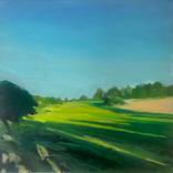 Hampstead Heath, early evening, summer by Sean OHalloran