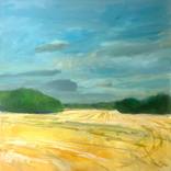 Field - late summer by Sean OHalloran