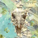 Spirits by Majda Susnik