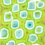 Heavenly Islands Pattern by Heidi Capitaine