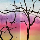 Collection Sunrises and Sunsets