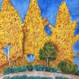 Three Aspens by Nancy Riedell